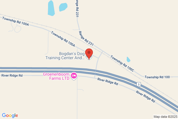 Bogdan's Dog Training Centre And Boarding Kennel Ltd