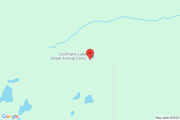 Cochrane Lake Small Animal Clinic
