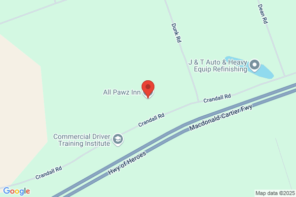 All Pawz Inn