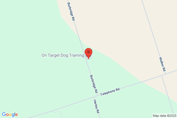 On Target Dog Training