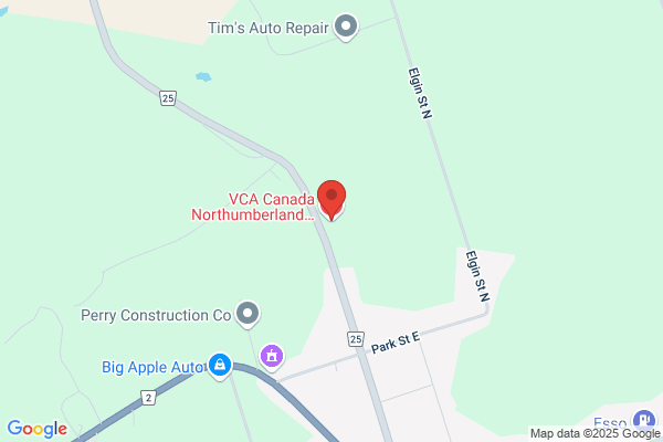 VCA Canada Northumberland Animal Hospital