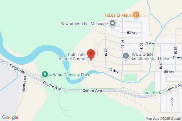 City of Cold Lake, Animal Shelter