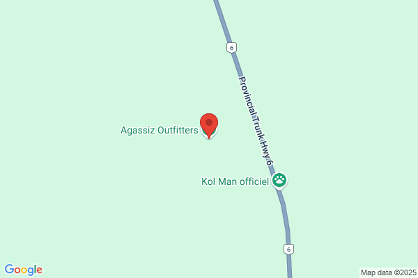 Bear Hunting Manitoba