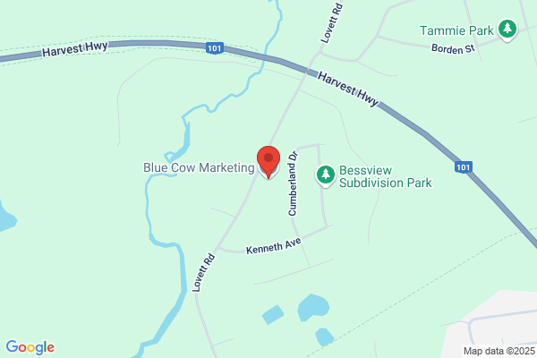 Blue Cow Marketing