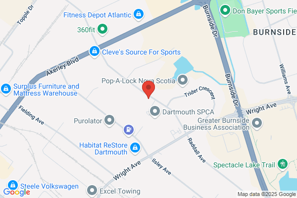 Vera's Garment Enterprise-Frenchy's