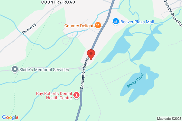 Baccalieu Trail Animal Hospital