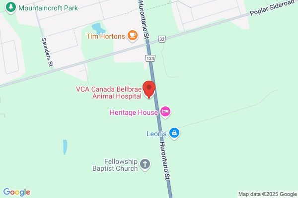 Bellbrae Animal Hospital