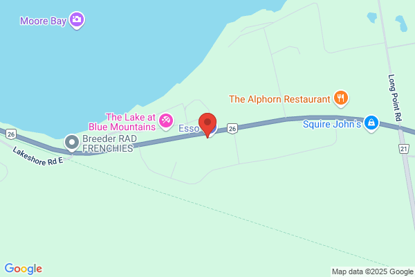 Craigleith General Store Restaurant the
