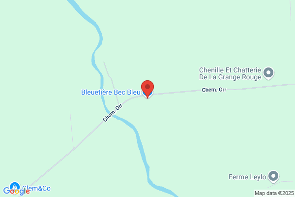 Bleuetière Bec Bleu