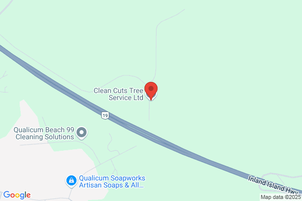 Clean Cuts Tree Service LTD