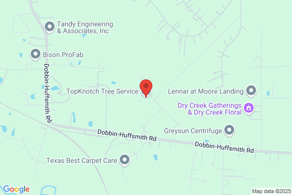 Top Knotch Tree Specialists