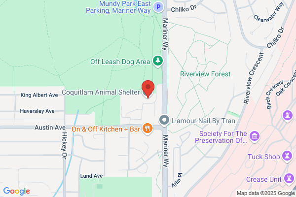 Mountainview Kennels
