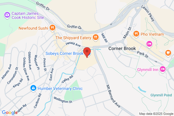 City of Corner Brook, Land Management Division, Land Management Assistant