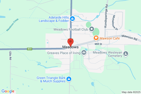 Town Council of Meadows