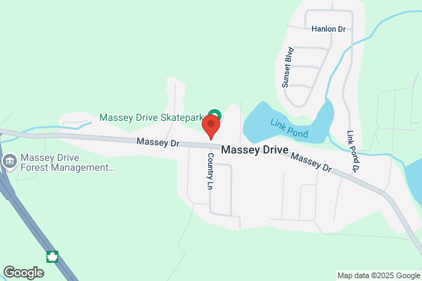Town of Massey Drive the, Town Hall