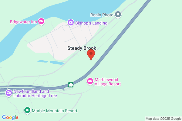 Town of Steady Brook