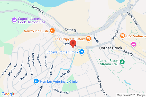 Memorial University of Newfoundland, Counselling Services, Counselling