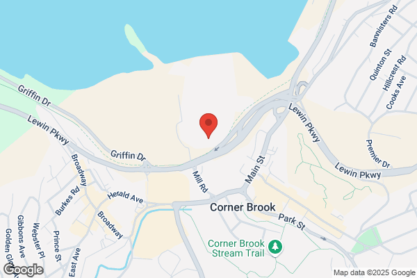 Corner Brook Pulp and Paper Limited, Mill Management, Recycle