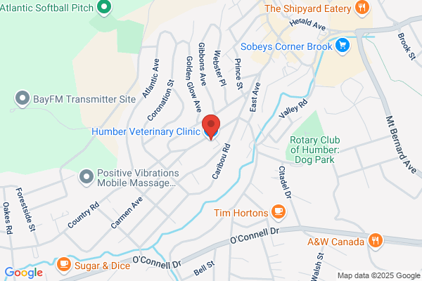 Humber Valley Veterinary Clinic
