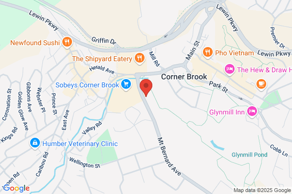 Culliton M General Practitioner