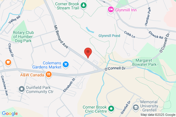 Auditor General, Corner Brook, Auditors