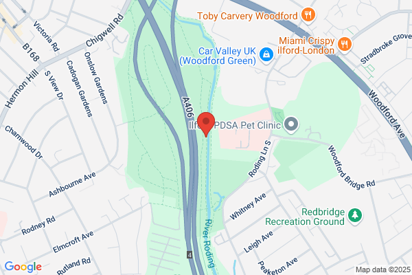 Denyer Andrew Dr