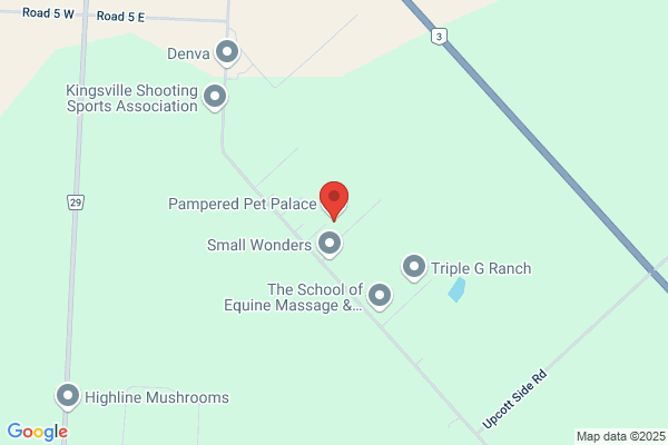 Erie Shore Retrievers and Pet Resort