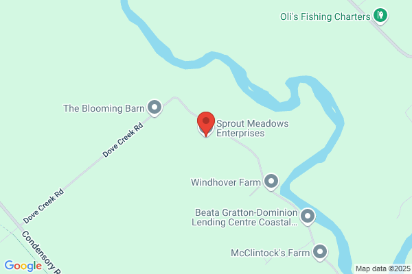 Outback Emuzing Ranch the
