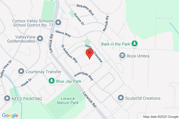 Action Home Inspections Ltd