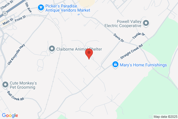 Buschlen Furniture Ltd, Retail Showroom