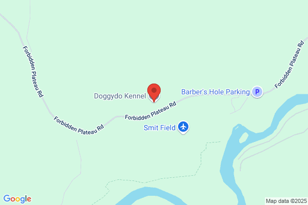 Doggydo Boarding Kennel