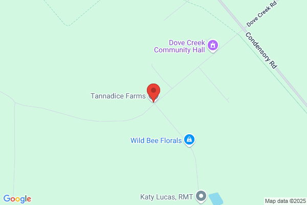 Tannadice Farms Ltd