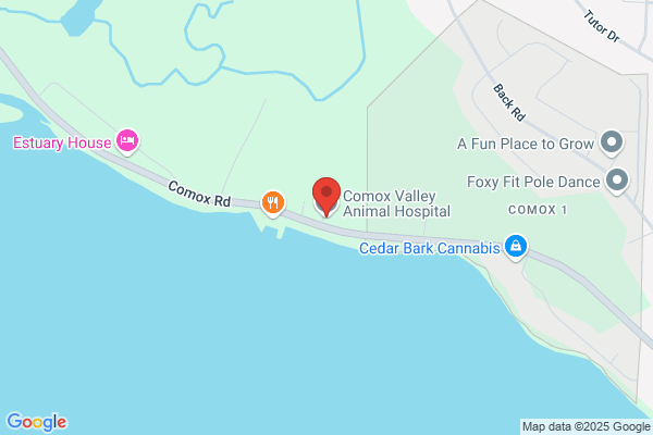 Comox Valley Animal Hospital