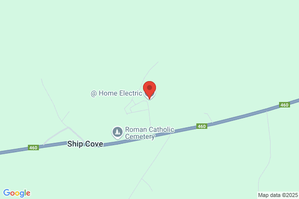 Home Style Electric