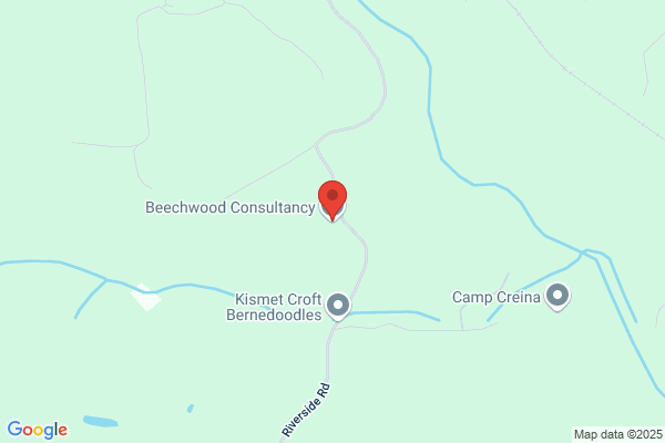 Beechwood Consultancy