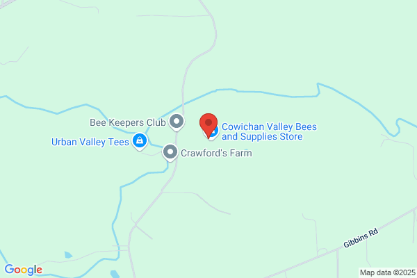 Valley Video