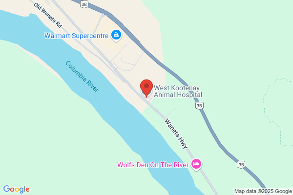 Kootenay Veterinary Clinic