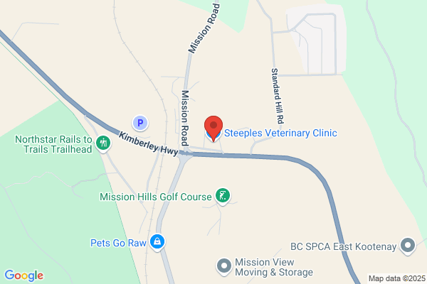 Steeples Veterinary Clinic
