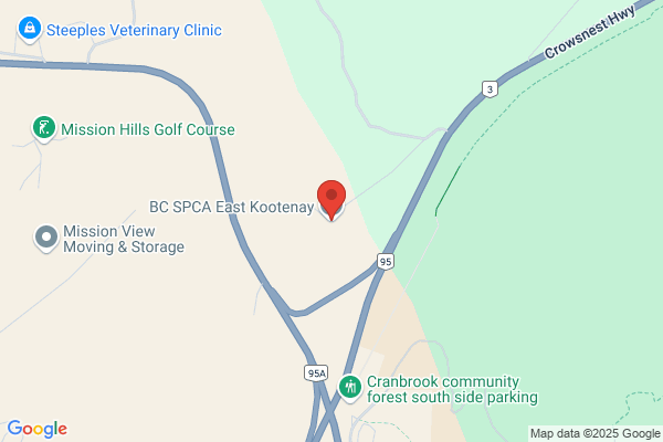 East Kootenay Ag/Wildlife Project