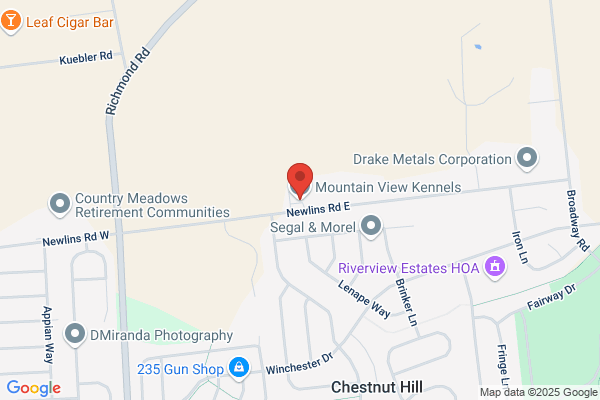 Mountainview Kennels
