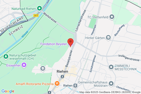 Beyeler Erin Regd Therpst