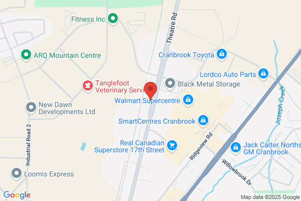 Van Hoff Automotive
