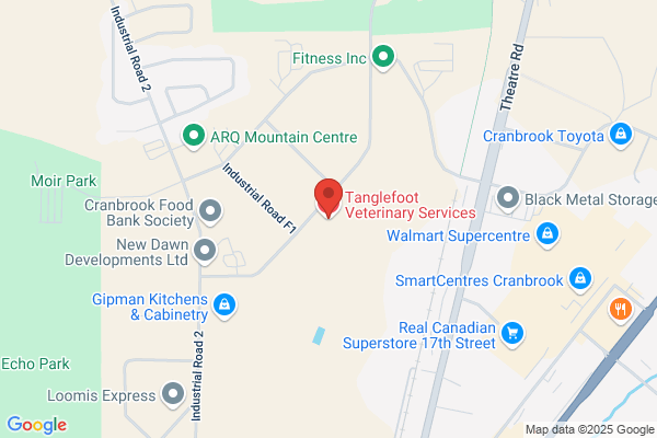 Tanglefoot Veterinary Services