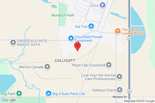 Payless Disposal Inc.