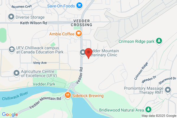 Fraser Valley Junk Solutions