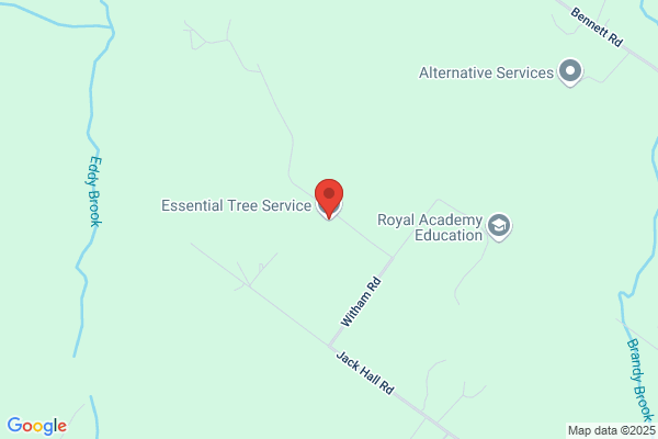 Essential Tree Service