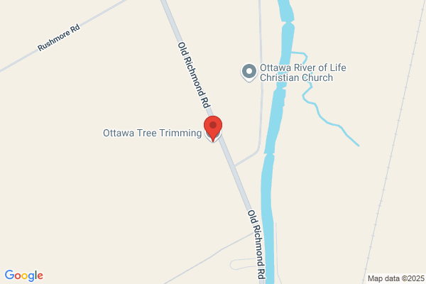 Ottawa Tree Surgeons & Consultants Inc.