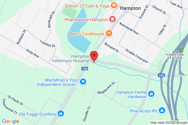 Hampton Veterinary Hospital