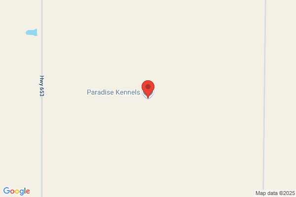 Paradise Kennels Inc