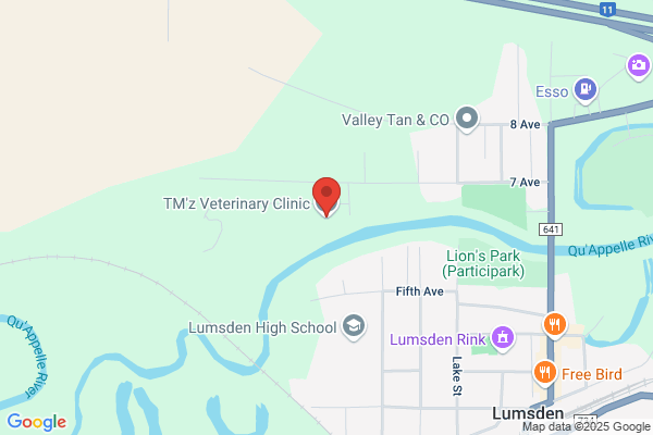 Tm'z Veterinary Clinic